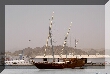 muscat 004.jpg